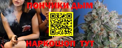 гидра Новодвинск