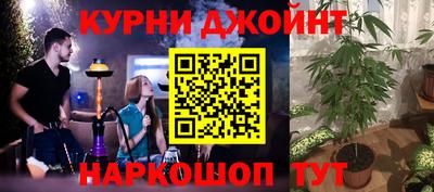 гидра Новодвинск