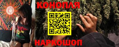 прущие грибы Новокубанск