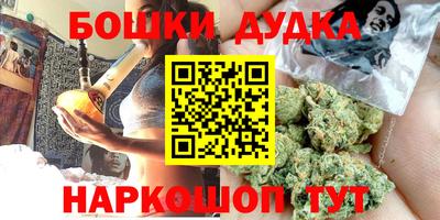 гидра Новодвинск